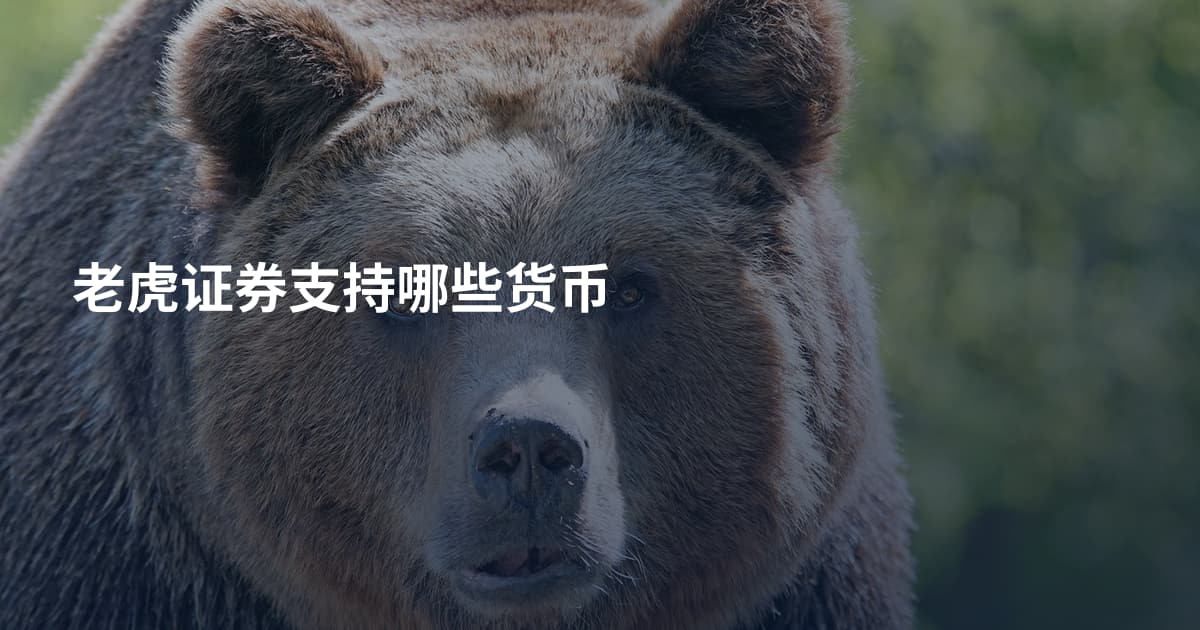 老虎证券支持哪些货币