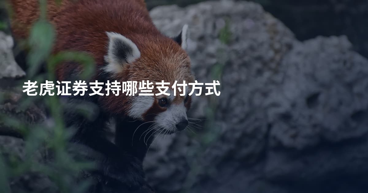 老虎证券支持哪些支付方式