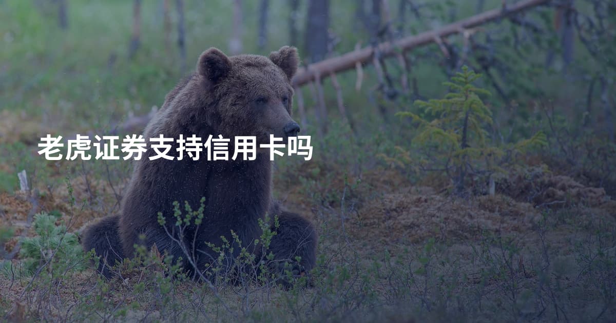 老虎证券支持信用卡吗