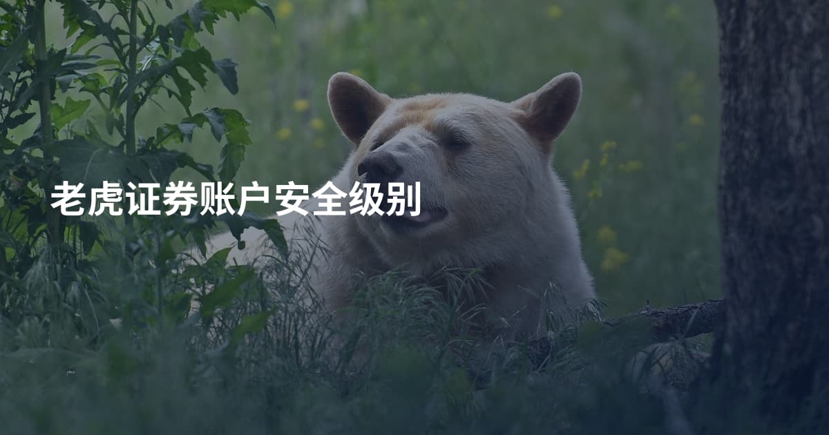 老虎证券账户安全级别