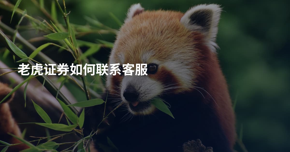 老虎证券如何联系客服