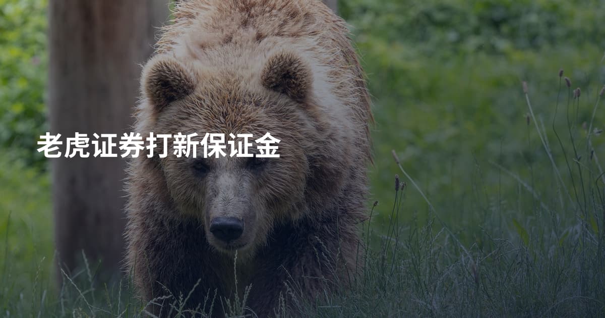 老虎证券打新保证金