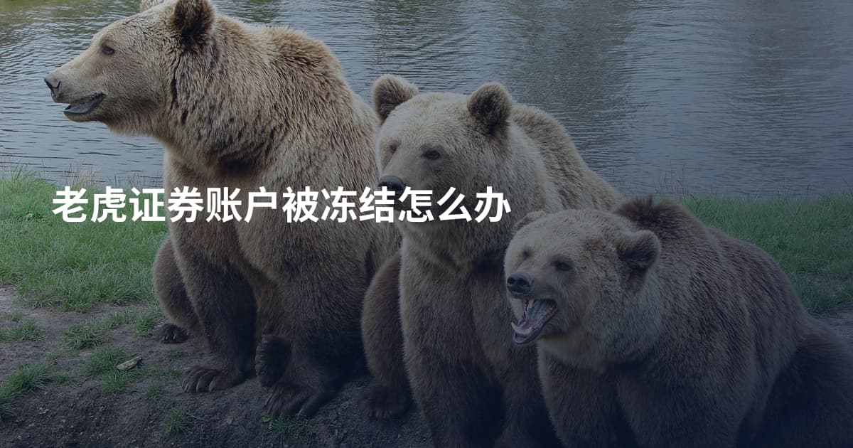 老虎证券账户被冻结怎么办