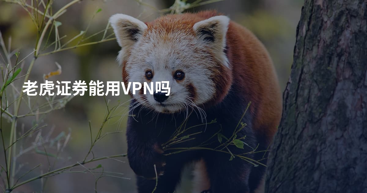 老虎证券能用VPN吗