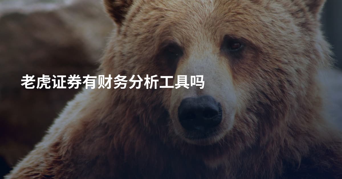 老虎证券有财务分析工具吗
