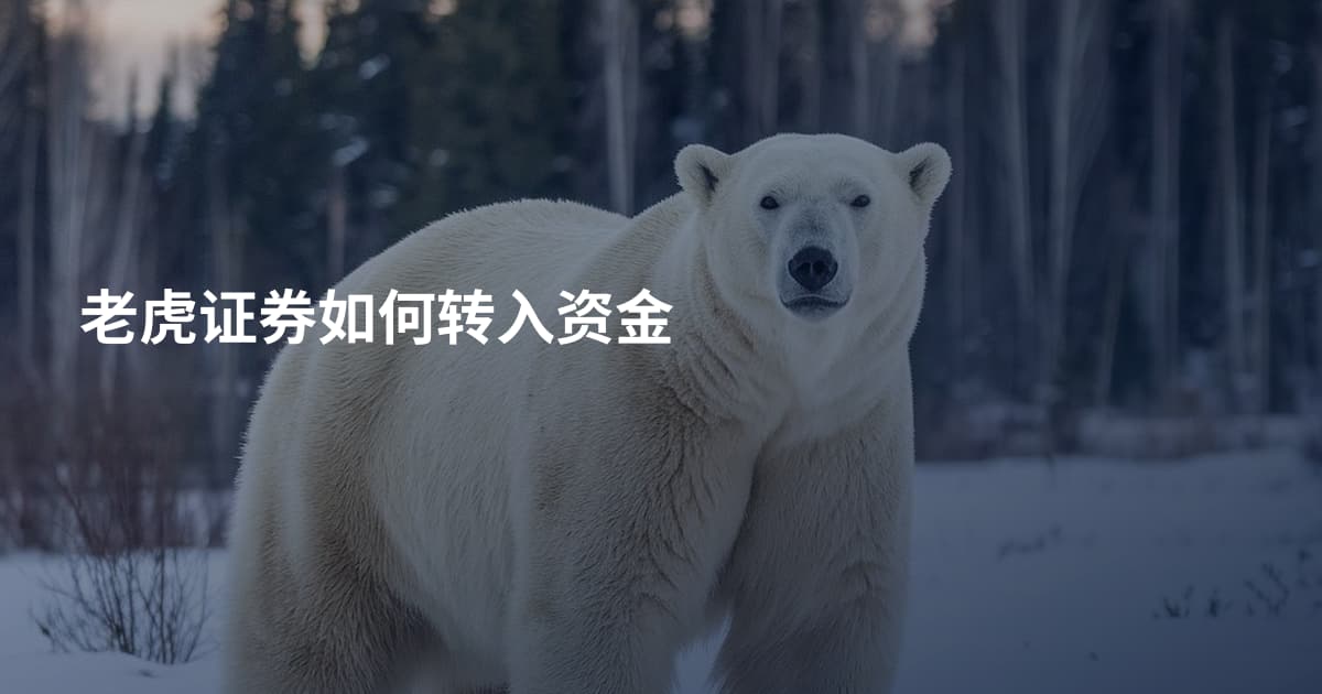 老虎证券如何转入资金
