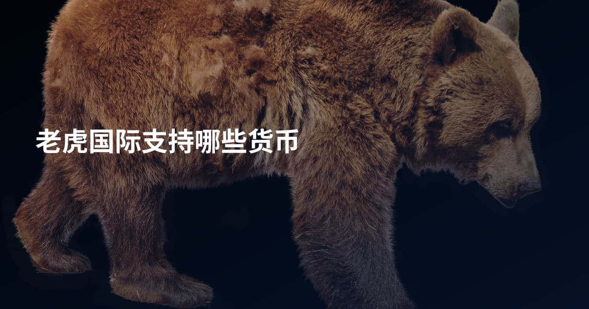 老虎国际支持哪些货币