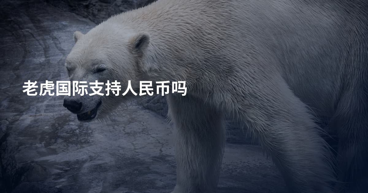 老虎国际支持人民币吗