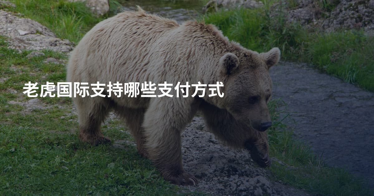 老虎国际支持哪些支付方式