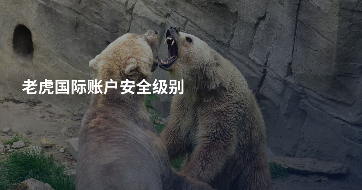 老虎国际账户安全级别
