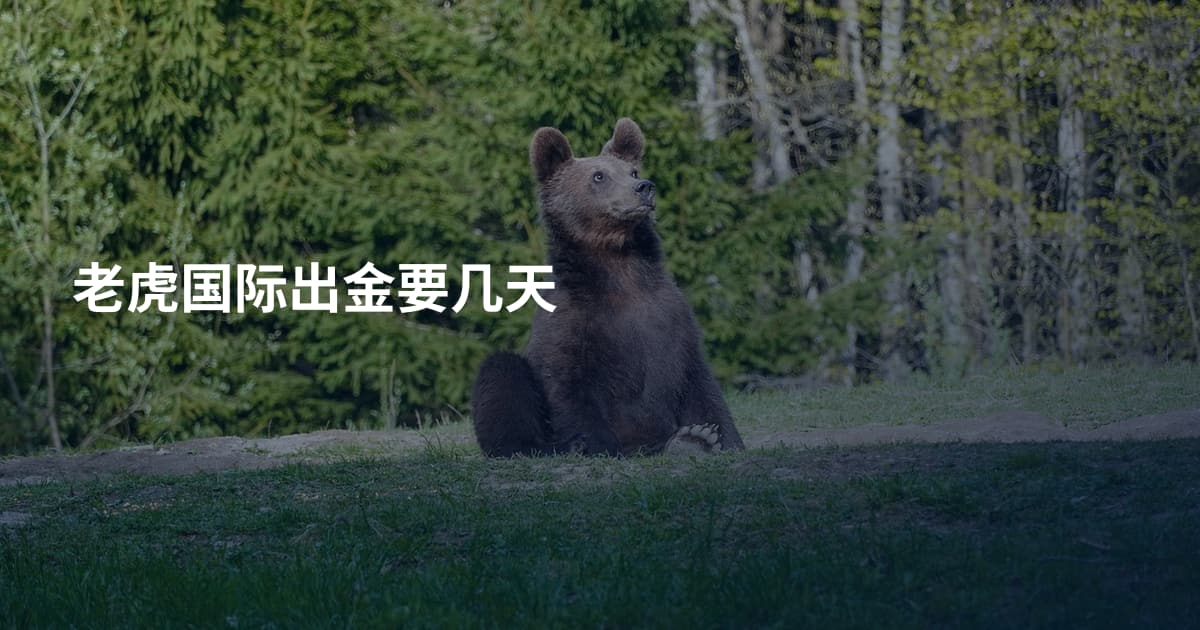 老虎国际出金要几天