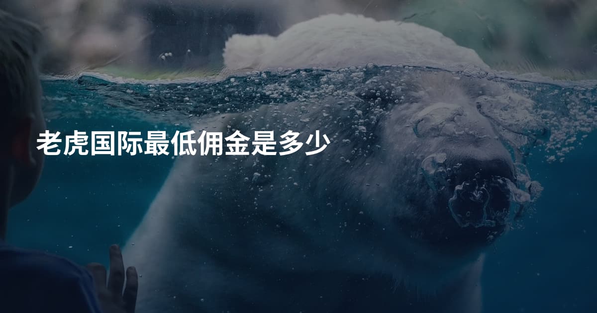 老虎国际最低佣金是多少