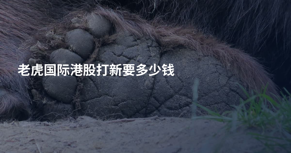 老虎国际港股打新要多少钱