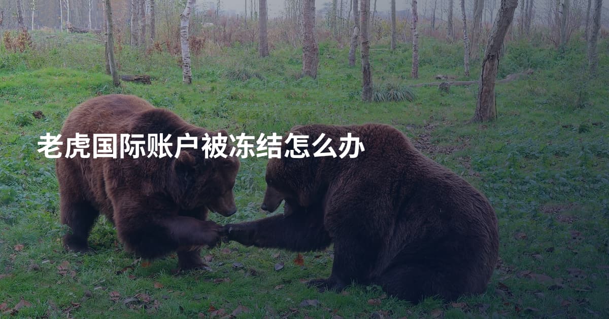 老虎国际账户被冻结怎么办