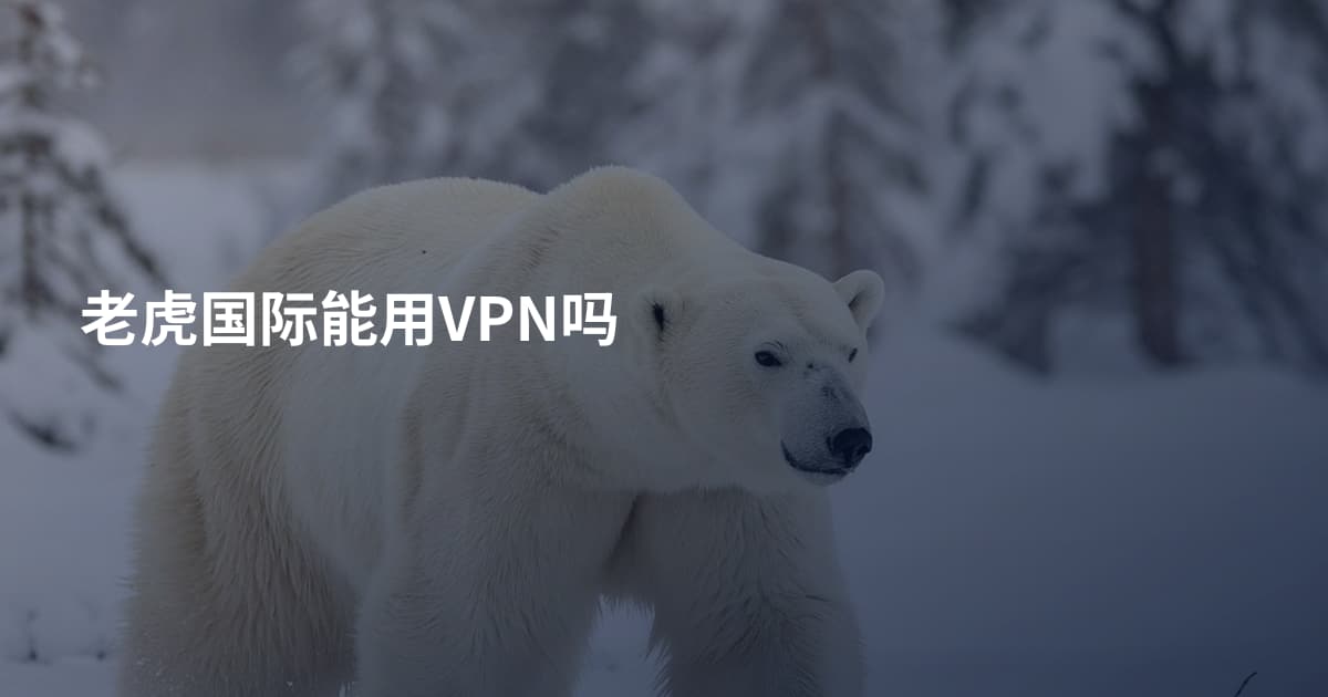 老虎国际能用VPN吗