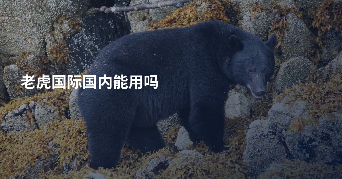 老虎国际国内能用吗
