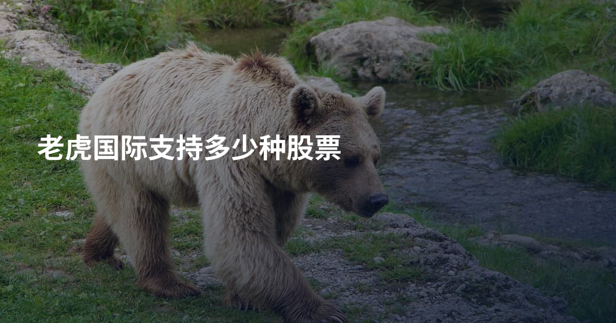 老虎国际支持多少种股票