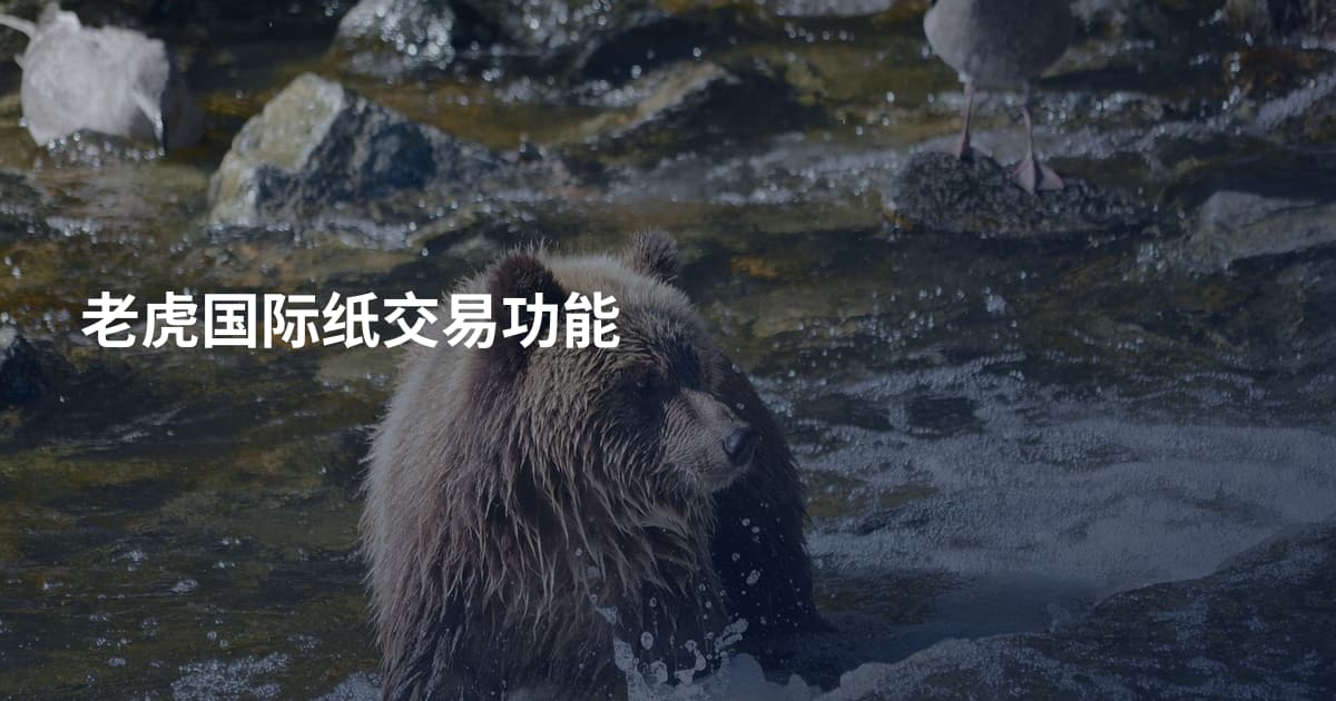 老虎国际纸交易功能