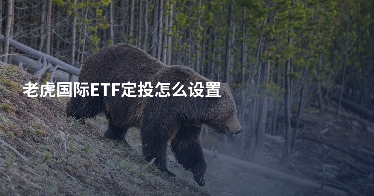 老虎国际ETF定投怎么设置