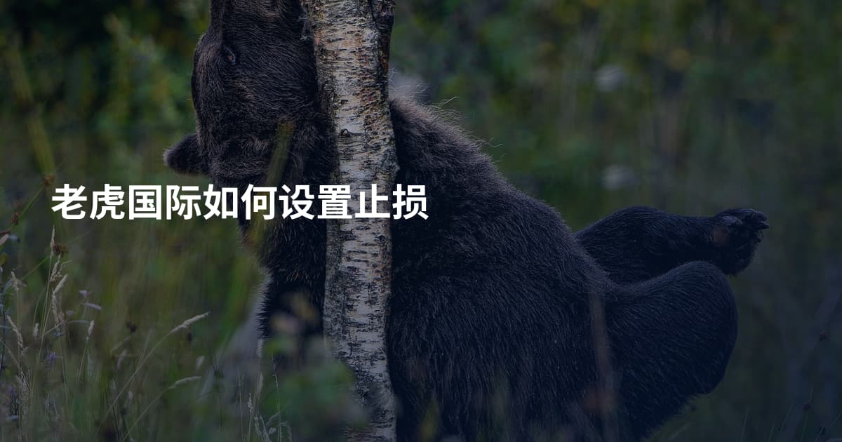 老虎国际如何设置止损