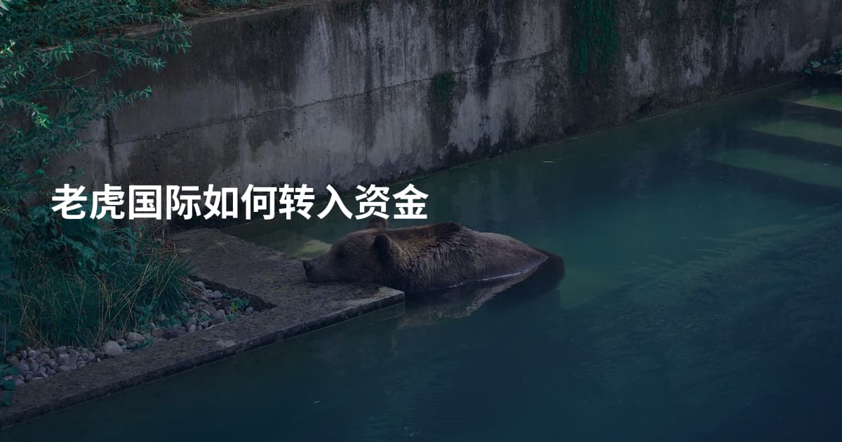 老虎国际如何转入资金
