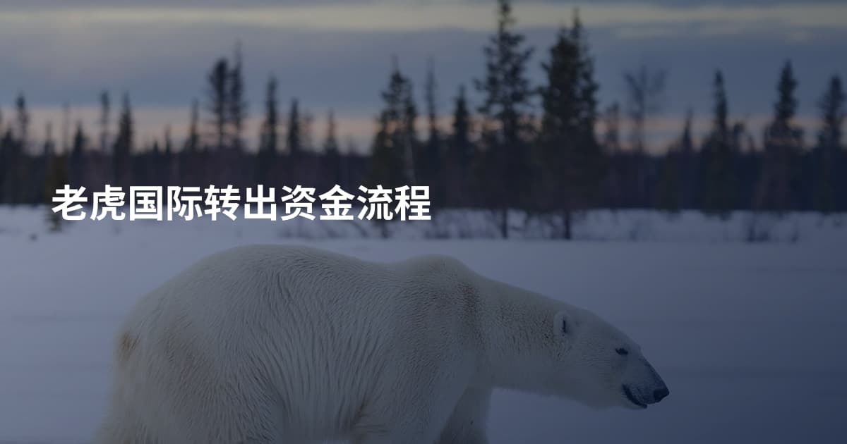 老虎国际转出资金流程