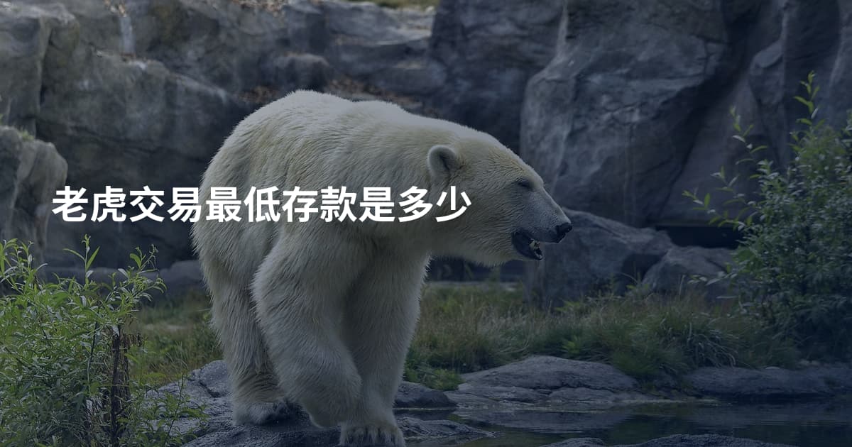 老虎交易最低存款是多少