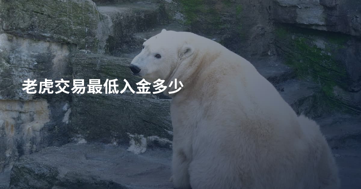 老虎交易最低入金多少