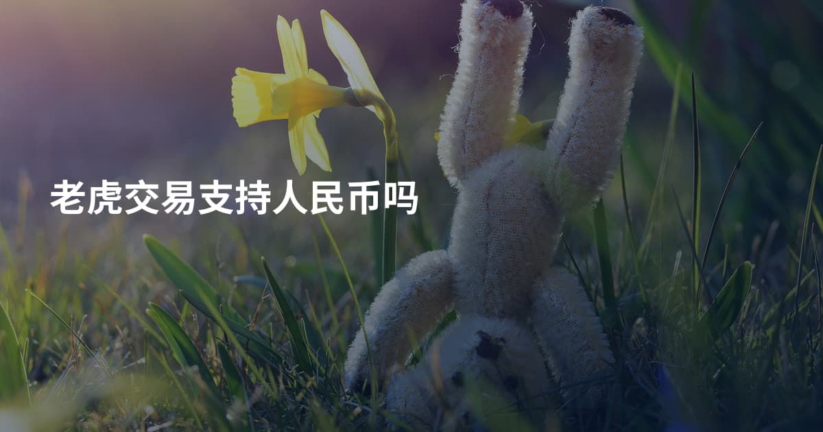 老虎交易支持人民币吗
