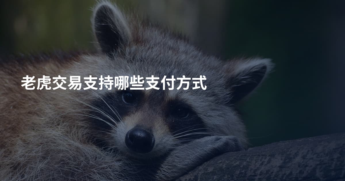 老虎交易支持哪些支付方式