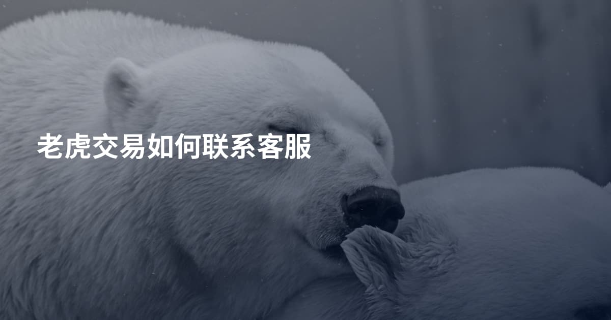 老虎交易如何联系客服