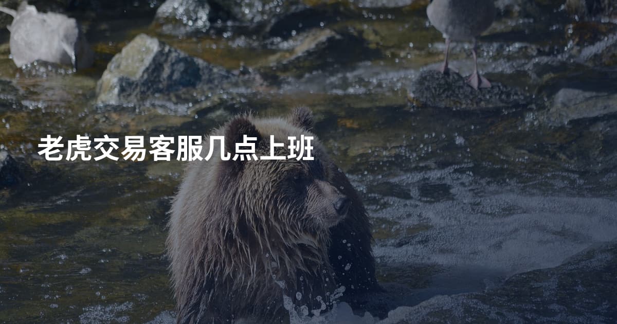老虎交易客服几点上班