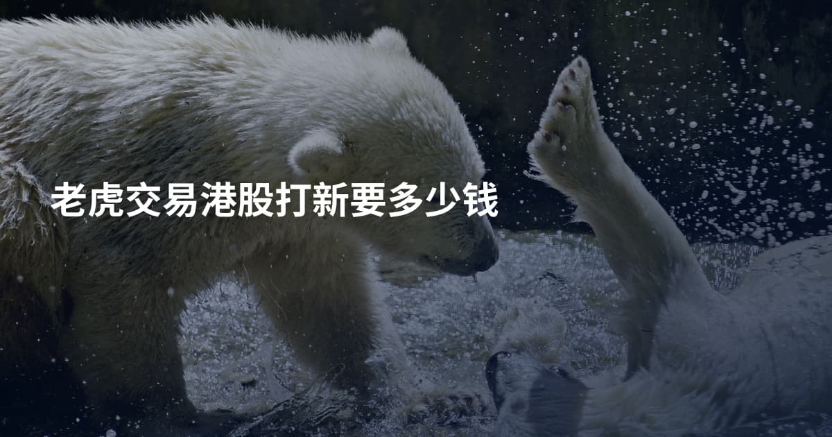 老虎交易港股打新要多少钱