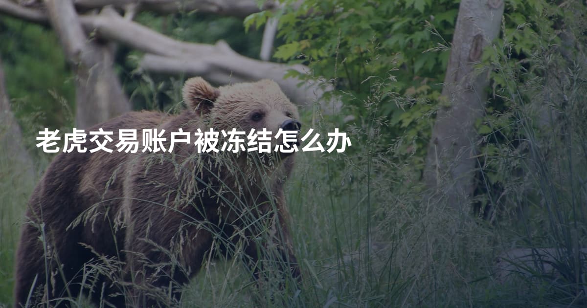 老虎交易账户被冻结怎么办
