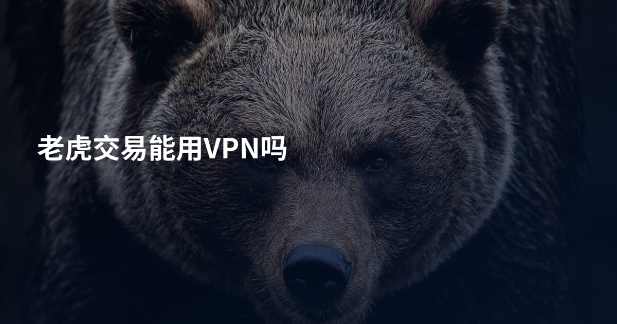 老虎交易能用VPN吗