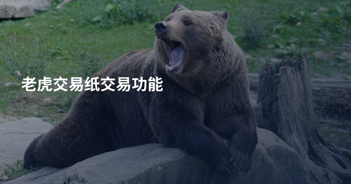 老虎交易纸交易功能