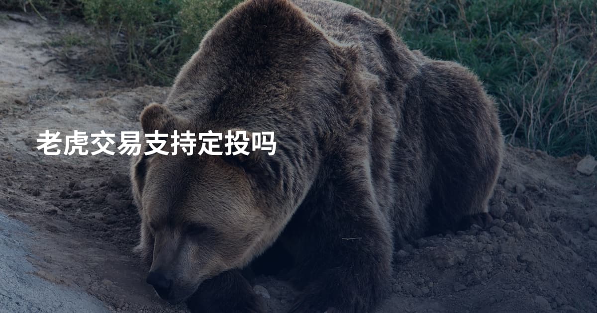老虎交易支持定投吗