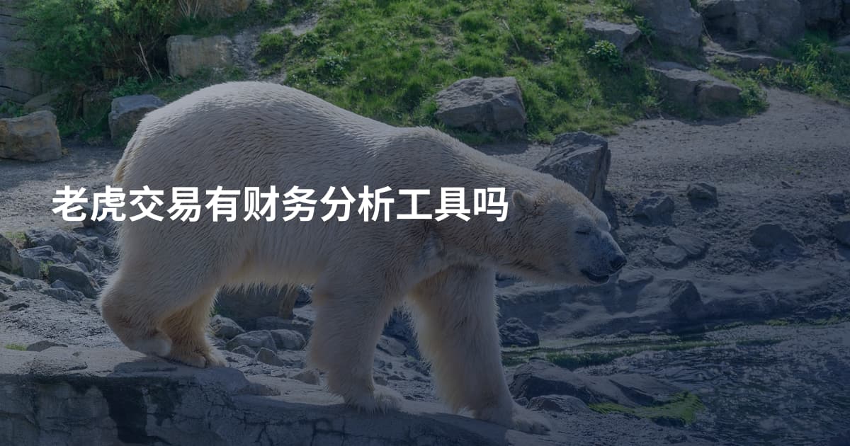 老虎交易有财务分析工具吗
