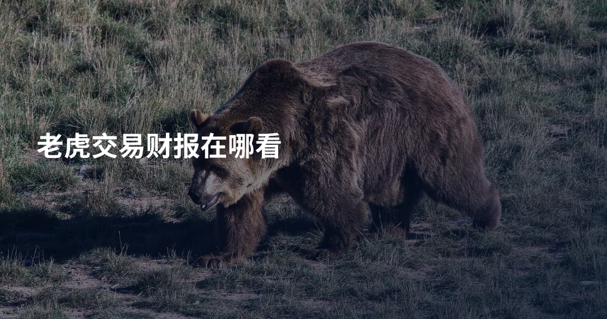 老虎交易财报在哪看