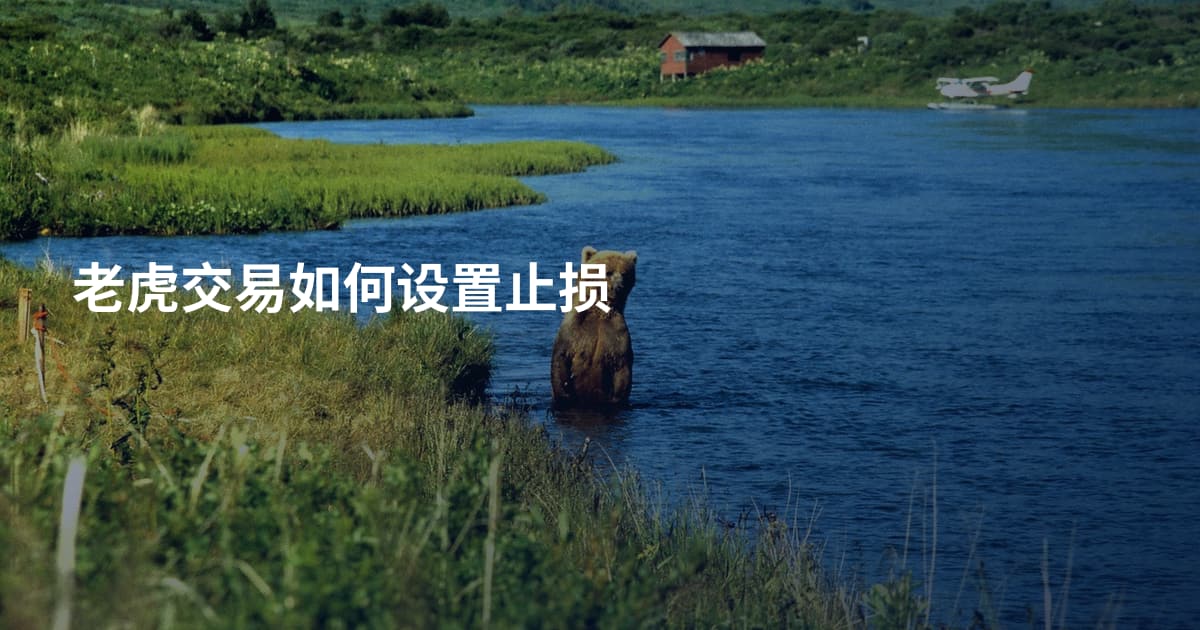 老虎交易如何设置止损