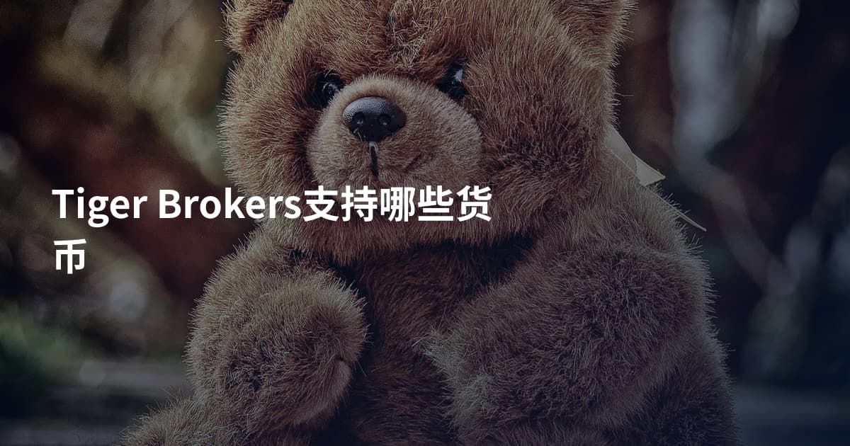 Tiger Brokers支持哪些货币