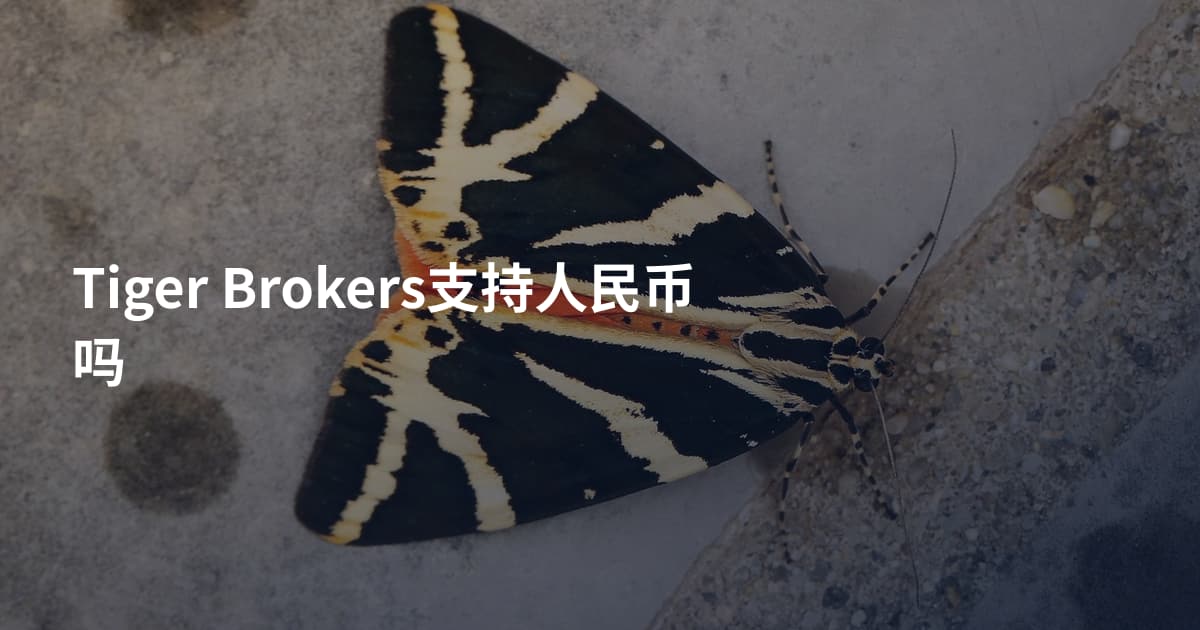 Tiger Brokers支持人民币吗