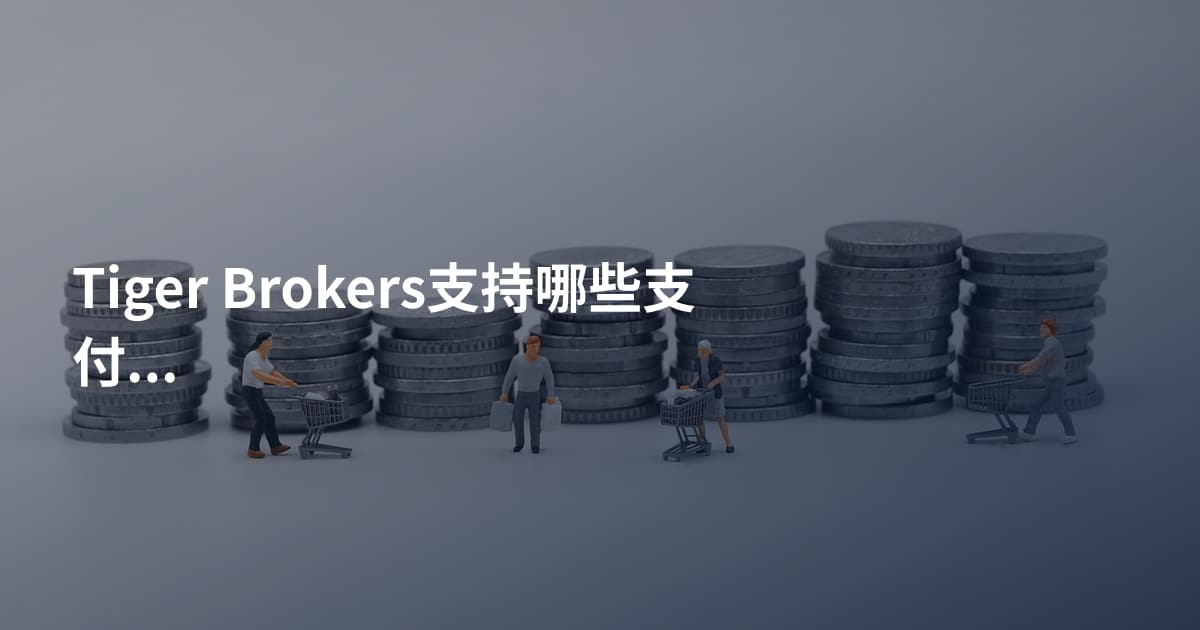 Tiger Brokers支持哪些支付方式