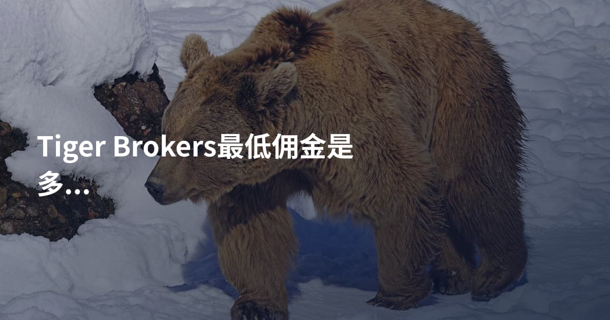 Tiger Brokers最低佣金是多少