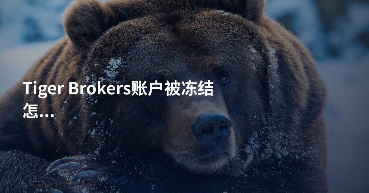 Tiger Brokers账户被冻结怎么办