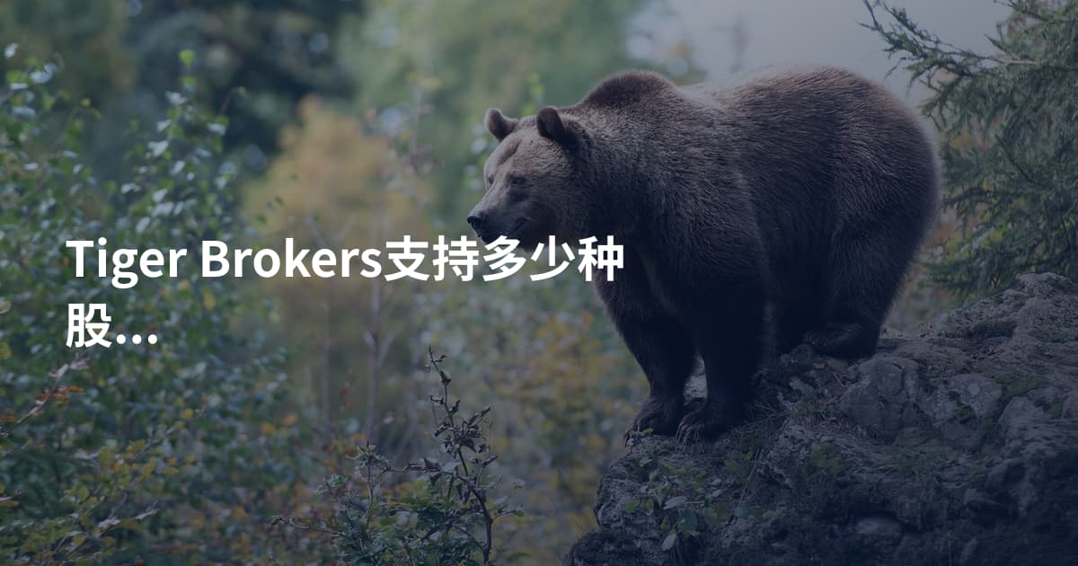 Tiger Brokers支持多少种股票