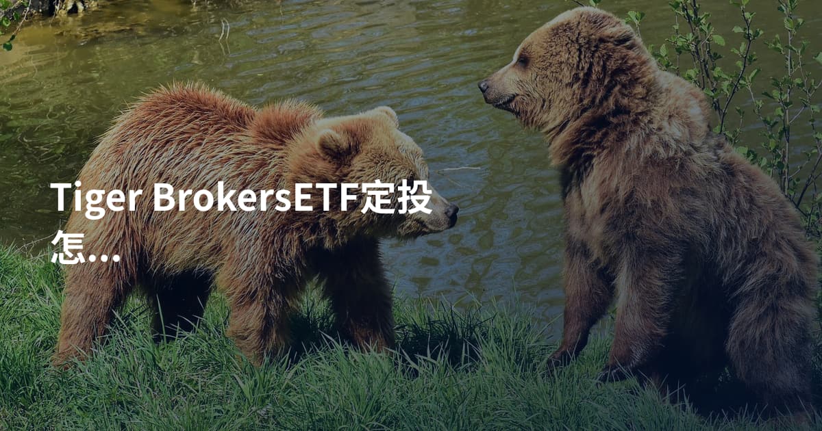 Tiger BrokersETF定投怎么设置