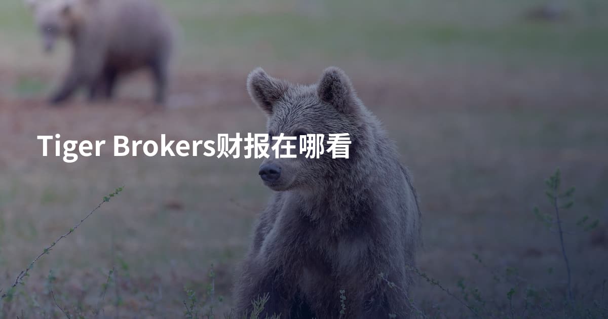 Tiger Brokers财报在哪看
