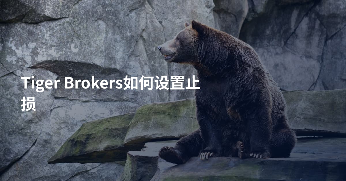 Tiger Brokers如何设置止损