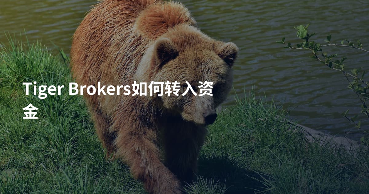Tiger Brokers如何转入资金